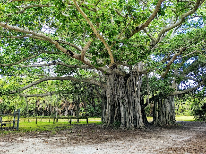 Hugh Taylor Birch State Park