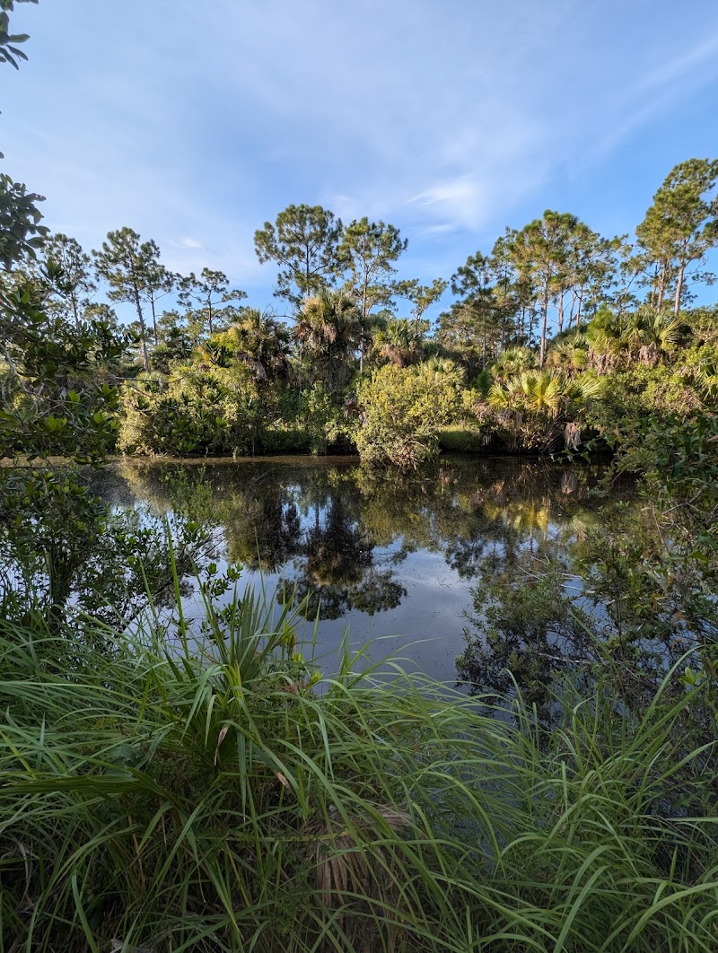 CREW Wildlife and Environmental Area - Corkscrew Marsh