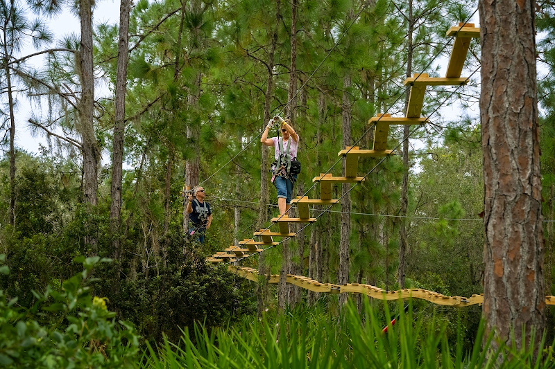 TreeUmph! Adventure Course