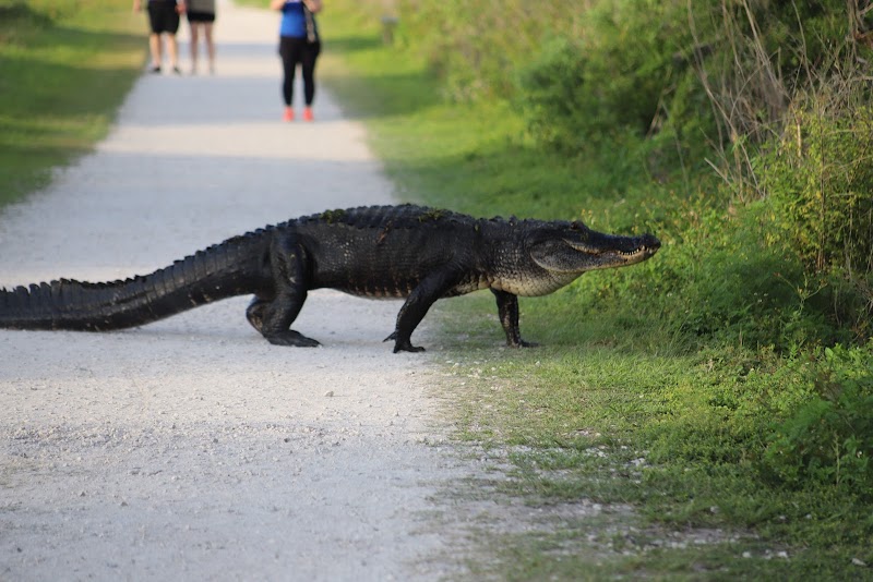 Circle B Bar Reserve