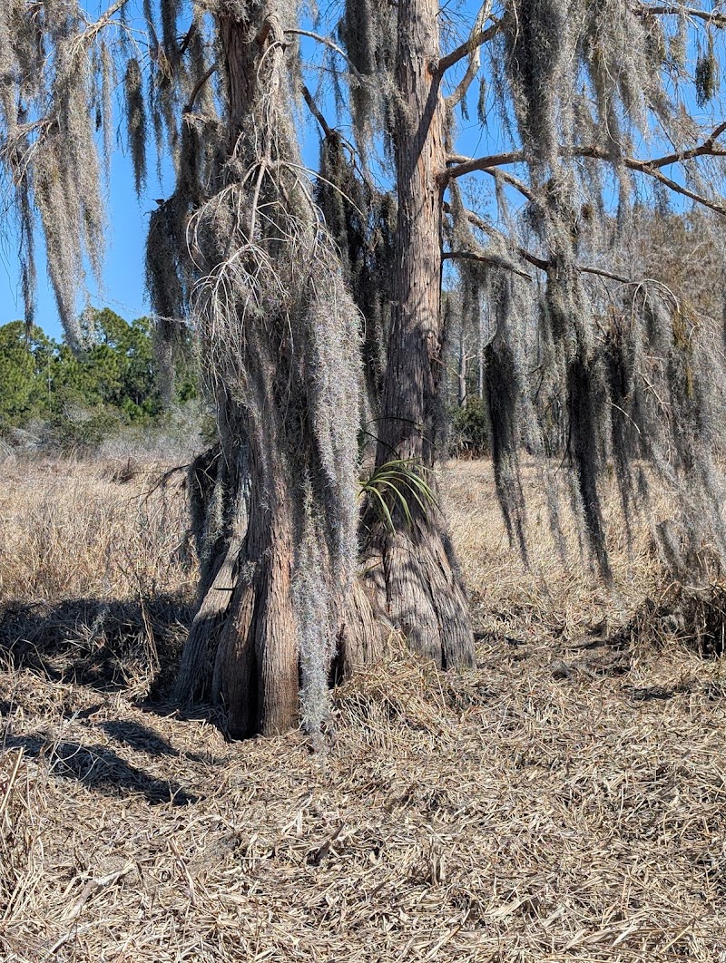 Daniels State Preserve
