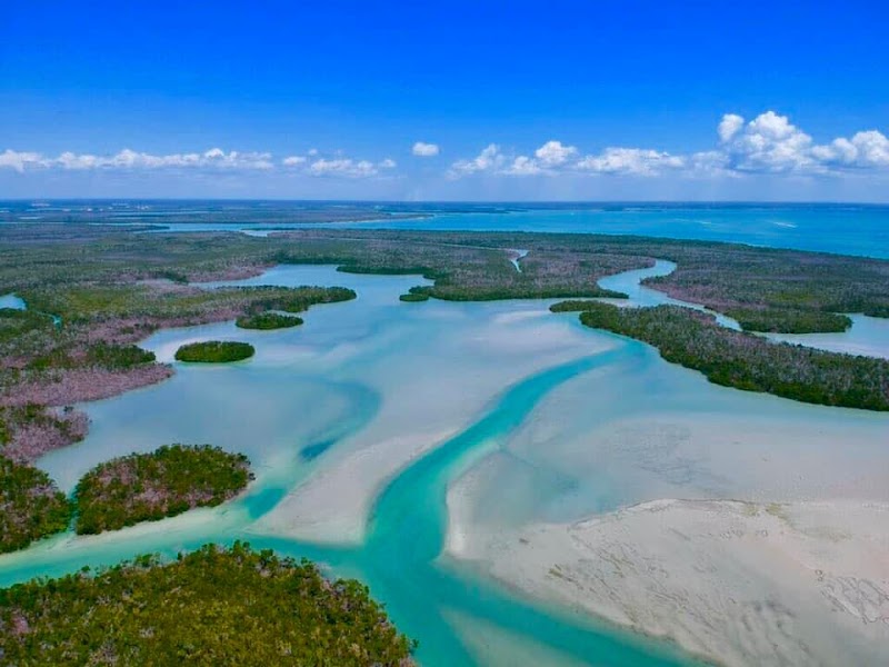 Eco Endeavors & Breakwater Adventures Tours