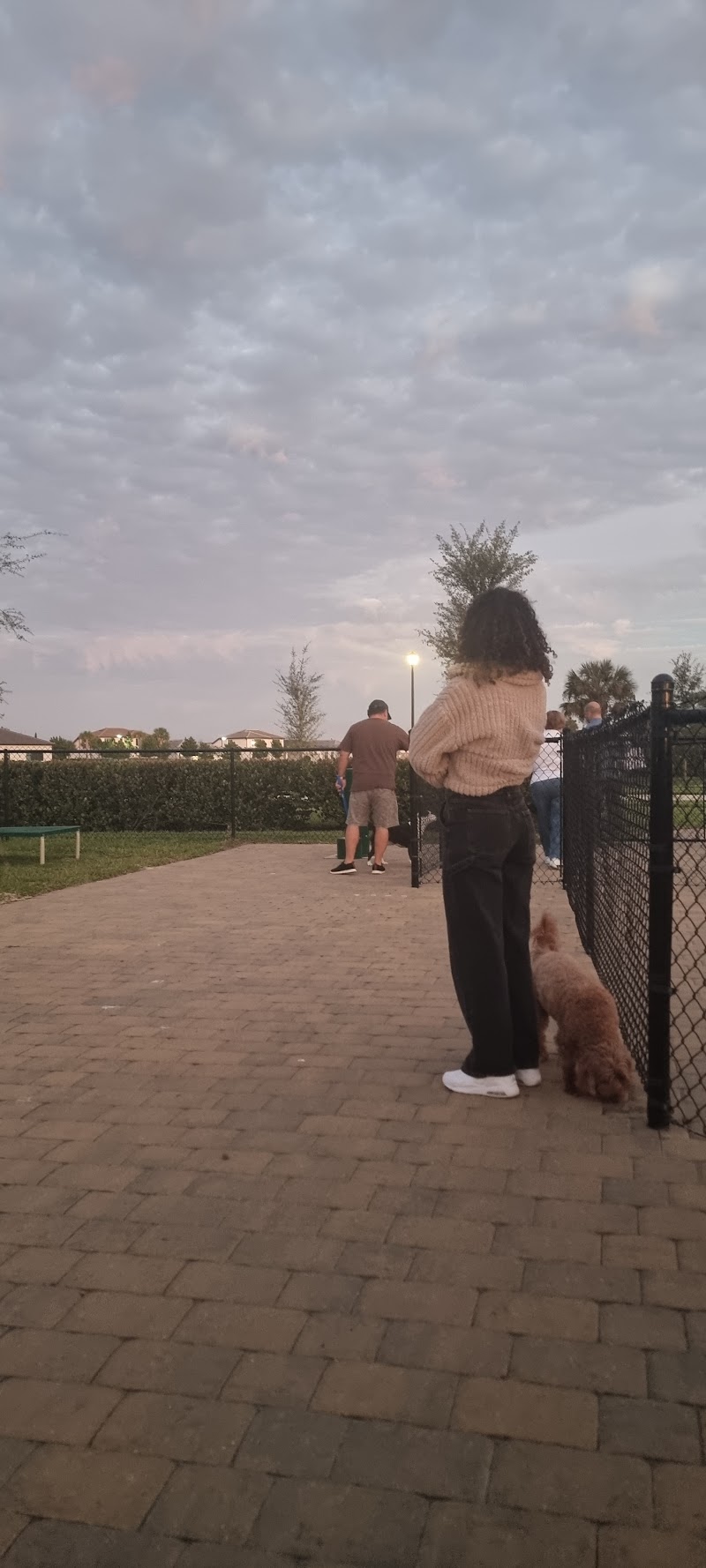 Private Dog Park - Valencia and Terreno Residents Only