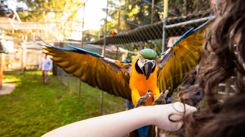 Uncle Sandy's Macaw Bird Park Pensacola