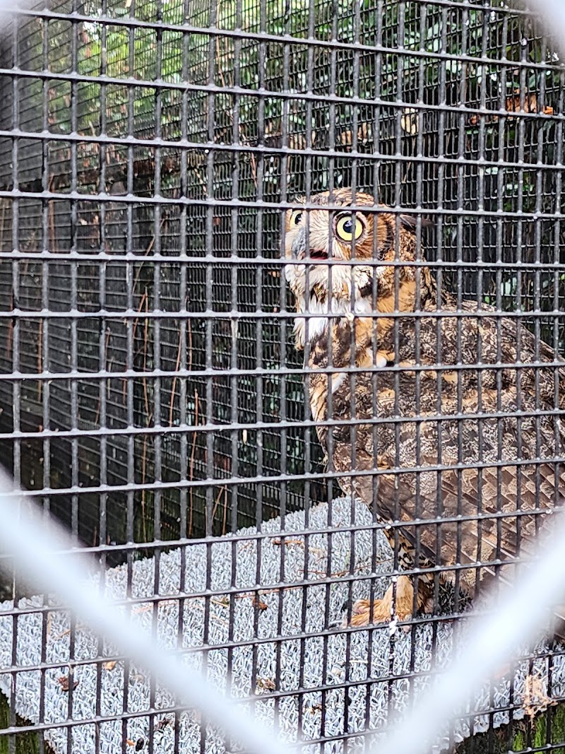 Wildlife Sanctuary of Northwest Florida