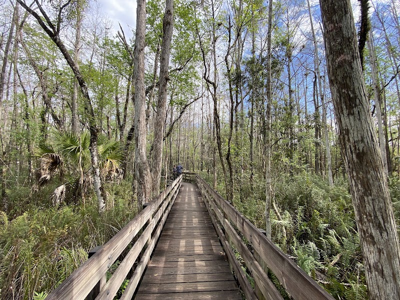 Six Mile Cypress Slough Preserve