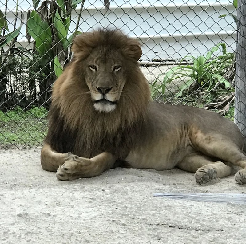 Octagon Wildlife Sanctuary
